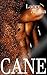 Cane (The Darker Side of Cane - Jonah Cane's POV)