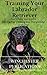 Training Your Labrador Retriever by Chintan Benegal
