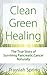 Clean Green Healing: The True Story of Surviving Pancreatic Cancer Naturally (Clean Green Living Book 2)