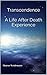 Transcendence A Life After Death Experience: A Life After Death Experience