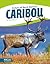 Caribou (Animals of North America)