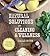 Natural Solutions for Cleaning & Wellness: Health Remedies and Green Cleaning Solutions Without Toxins or Chemicals