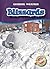 Blizzards (Blastoff! Readers: Extreme Weather) (Blastoff! Readers, Level 4: Extreme Weather)