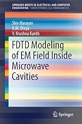 FDTD Modeling of EM Field inside Microwave Cavities