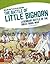 The Battle of Little Bighorn by Katy Duffield
