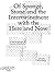 Of Sponge, Stone and the Intertwinement with the Here and Now by Janneke Wesseling