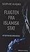 Flugten fra Islamisk Stat: en hjemvendts bekendelser