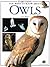 Everything You Wanted to Know About: Owls