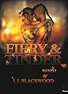 Fiery & Tinder 1: Und das Geheimnis der Göttin (German Edition)