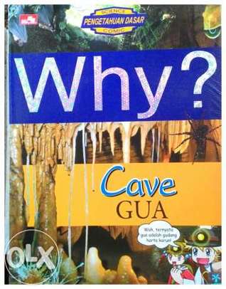 Cave - Gua (Paperback)