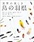 世界の美しき鳥の羽根：鳥たちが成し遂げてきた進化が見える