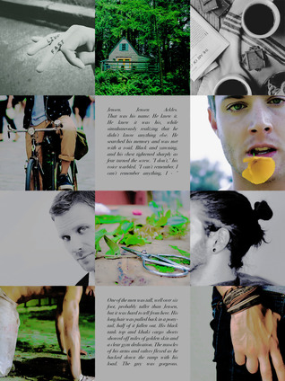 The Last Light I See (ebook)