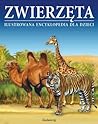Zwierzeta Ilustrowana encyklopedia dla dzieci