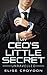 My CEO's Little Secret: Unraveled