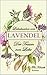 Lavendel - Der Traum von Liebe: Die Liebesgeschichte einer Zeitreisenden (Bezaubernde Liebesbücher)