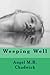 Weeping Well (Weeping Well, #1)