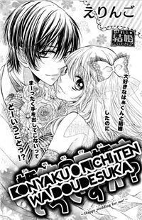 婚約０にち今輪同です課Konyaku 0-nichi Kon wa Dou Desu ka?]