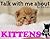 Talk with me about Kittens