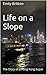 Life on a Slope by Emily Britton