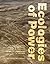 Ecologies of Power by Pierre Bélanger