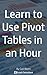 Learn To Use Excel Pivot Tables In An Hour by Carl Nixon