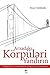 Arxadakı Körpüləri Yandırın