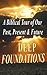 DEEP FOUNDATIONS: A Biblical Tour of Our Past, Present & Future