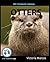 My Favorite Animal: Otters
