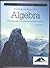 Algebra The Language and Symbolism of Mathematics by Brian A. Mercer