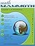 Math Mammoth Grade 1-A Worktext
