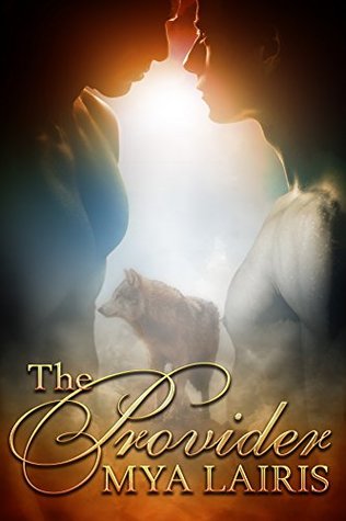 The Provider (Kindle Edition)