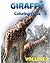 Giraffe Coloring Books Vol....