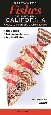 Saltwater Fishes of Northern California : A Guide to Inshore and Offshore Species