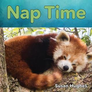 Nap Time (Hardcover)