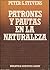 PATRONES Y PAUTAS EN LA NATURALEZA by Peter S. Stevens