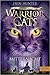 Mitternacht by Erin Hunter