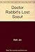 Doctor Rabbit's Lost Scout