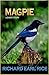 MAGPIE