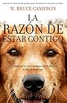 La razón de estar contigo