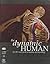 The Dynamic Human: The 3d V...