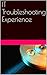 IT Troubleshooting Experience