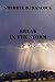 Break In The Storm (WeHo, #2)