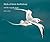 Birds of Saint-Barthelemy