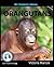 My Favorite Animal: Orangutans