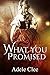 What You Promised (Anything...