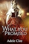 What You Promised by Adele Clee