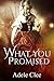 What You Promised (Anything for Love, #4)