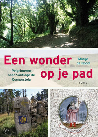 Een wonder op je pad. Pelgrimeren naar Santiago de Compostela