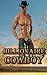 Billionaire Cowboy