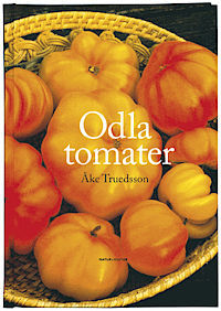 Odla tomater (Hardcover)